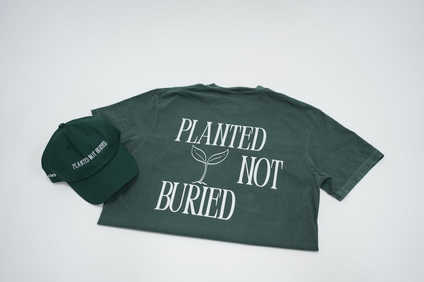 Planted Not Buried | Unisex heavyweight t-shirt
