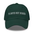 PLANTED NOT BURIED HAT